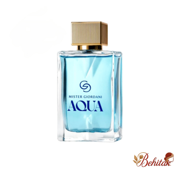 ادوپرفیوم مردانه میستر جوردانی آکوا - تصویر 1