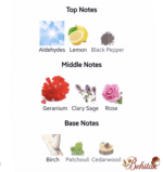 عطر مردانه دبونیر جنتل وود - تصویر 4