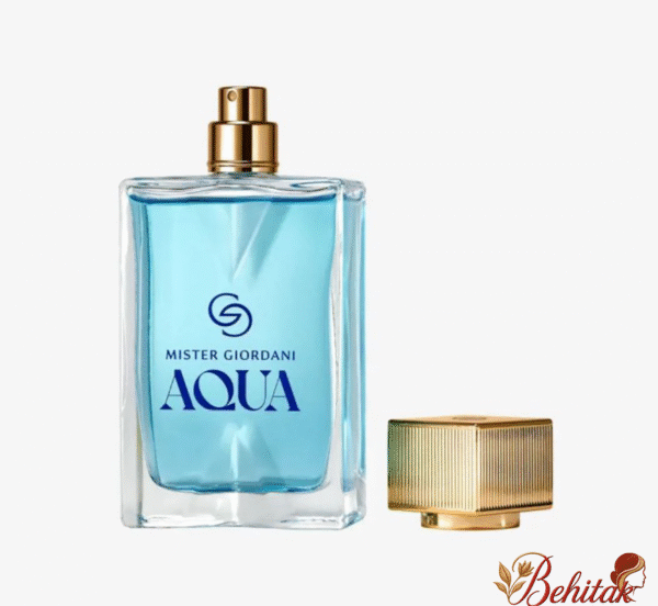 ادوپرفیوم مردانه میستر جوردانی آکوا - تصویر 5