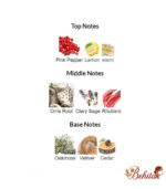 ادوتویلت مردانه سیگنیچر جنریشن - تصویر 4