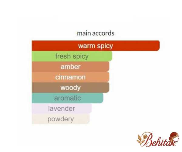 ادوپرفیوم مردانه پوسس ابسولوت - تصویر 5