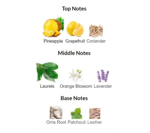 ادوتویلت مردانه پوسس - تصویر 4