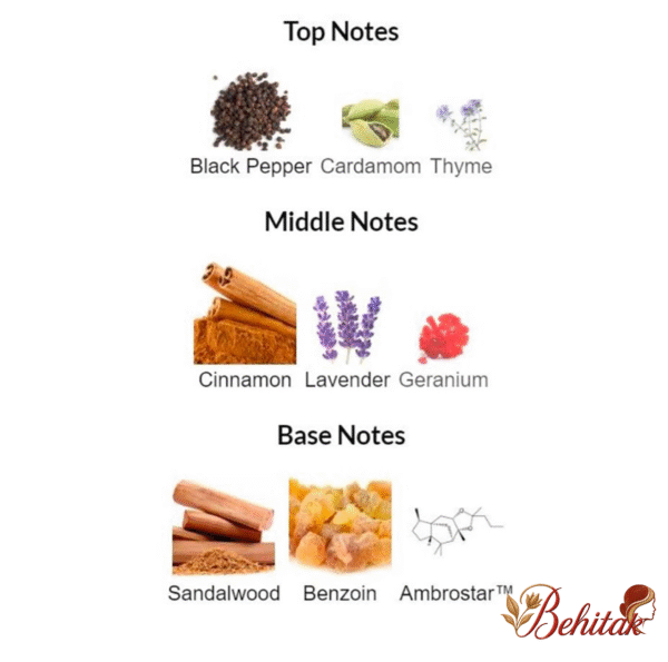 ادوپرفیوم مردانه پوسس ابسولوت - تصویر 4