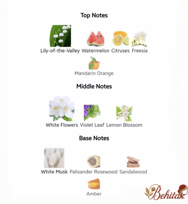 ادوتویلت زنانه الوی - تصویر 2