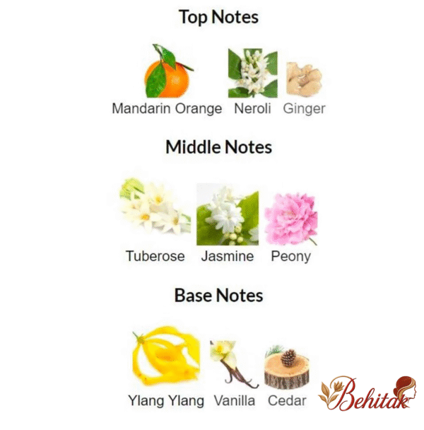 ادوپرفیوم زنانه میس جوردانی فلورال - تصویر 3