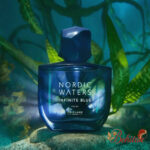 ادوپرفیوم مردانه نوردیک واترز اینفینیت بلو - تصویر 3