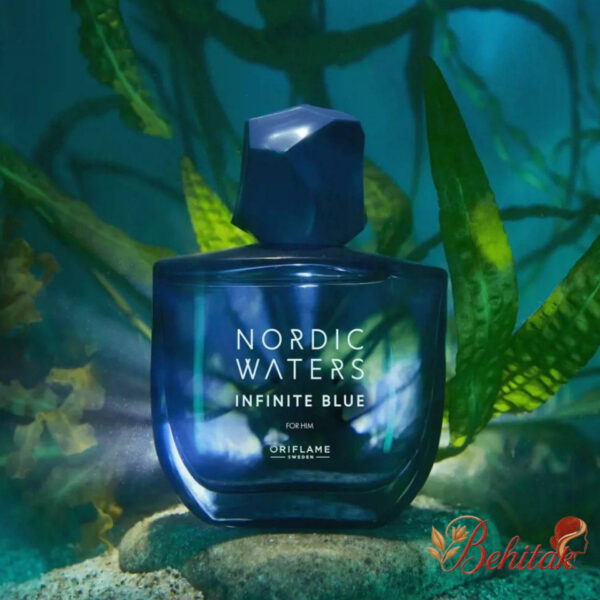 ادوپرفیوم مردانه نوردیک واترز اینفینیت بلو - تصویر 3