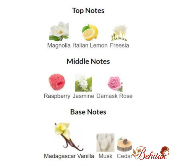 پرفیوم زنانه آل اور ناتینگ - تصویر 6