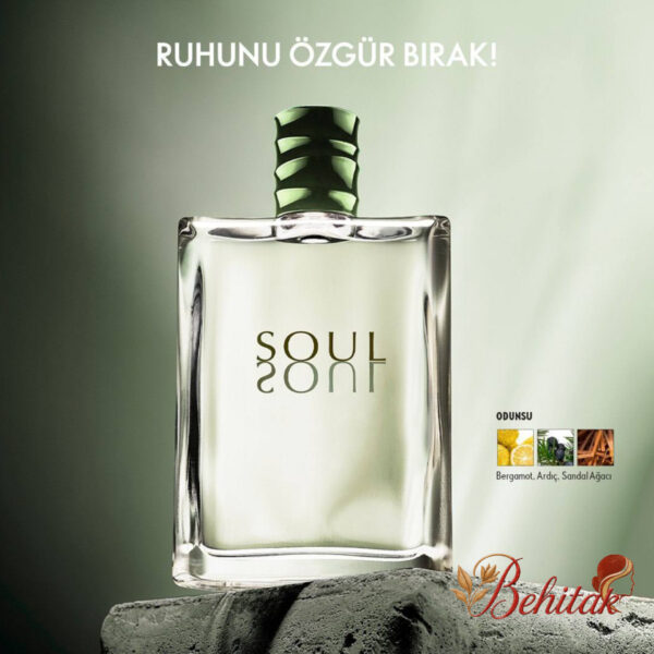 ادوتویلت مردانه سول - تصویر 3