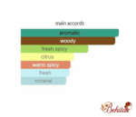 ادوتویلت مردانه گلشیر اکستریم - تصویر 4