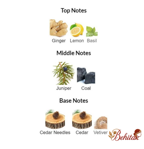 ادوتویلت مردانه گلشیر اکستریم - تصویر 3