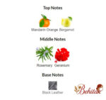 ادوپرفیوم مردانه اکلت نویی - تصویر 5