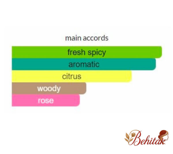 ادوپرفیوم مردانه اکلت نویی - تصویر 6